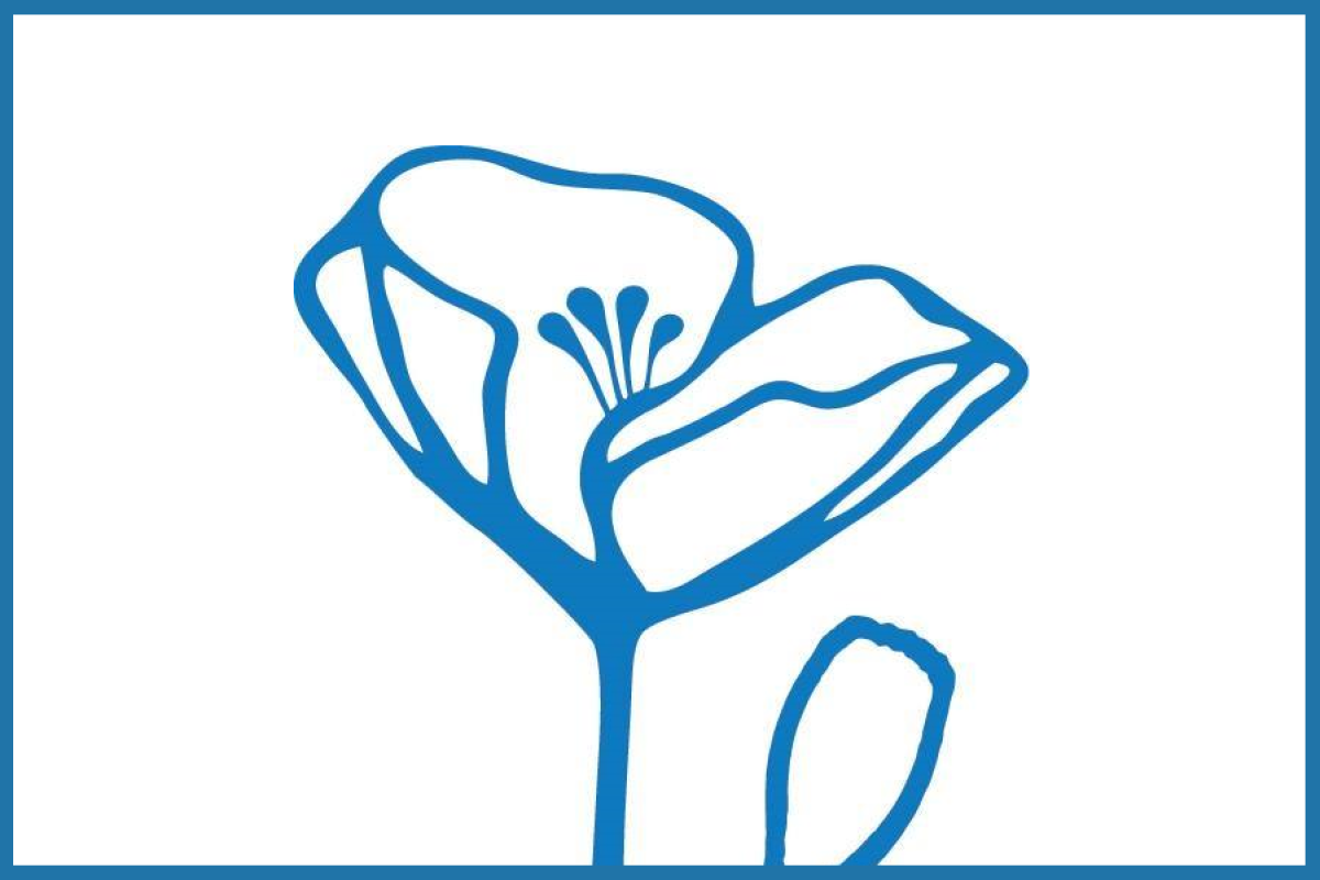 poppy-border.png